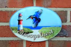 Das Eisvogelnest